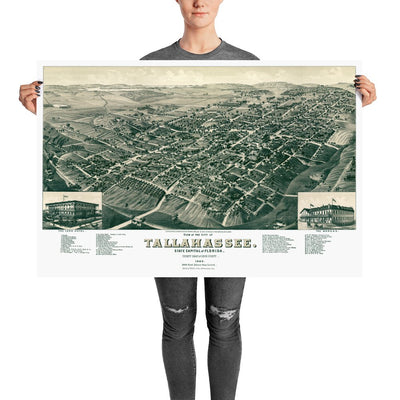 Tallahassee, FL 1885 - Available at KNOWOL