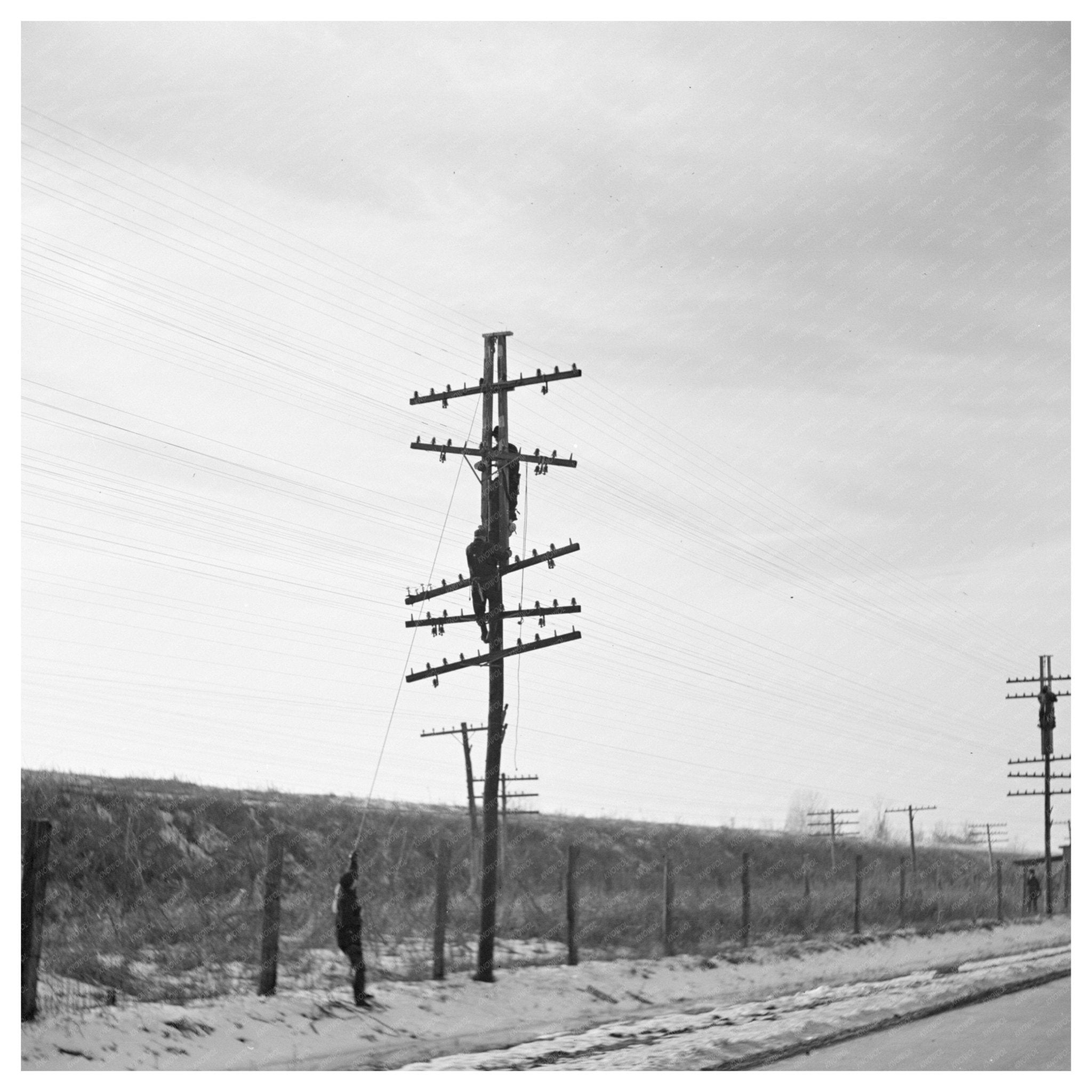 Telephone Linesmen Raising Wires Above Flood Level 1937 - Available at KNOWOL