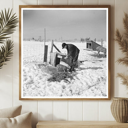 Tenant Farmer Feeding Pigs McLeansboro Illinois 1937 - Available at KNOWOL