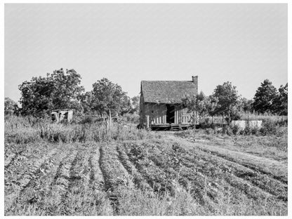 Tenant Farmer Home in Mississippi July 1937 - Available at KNOWOL