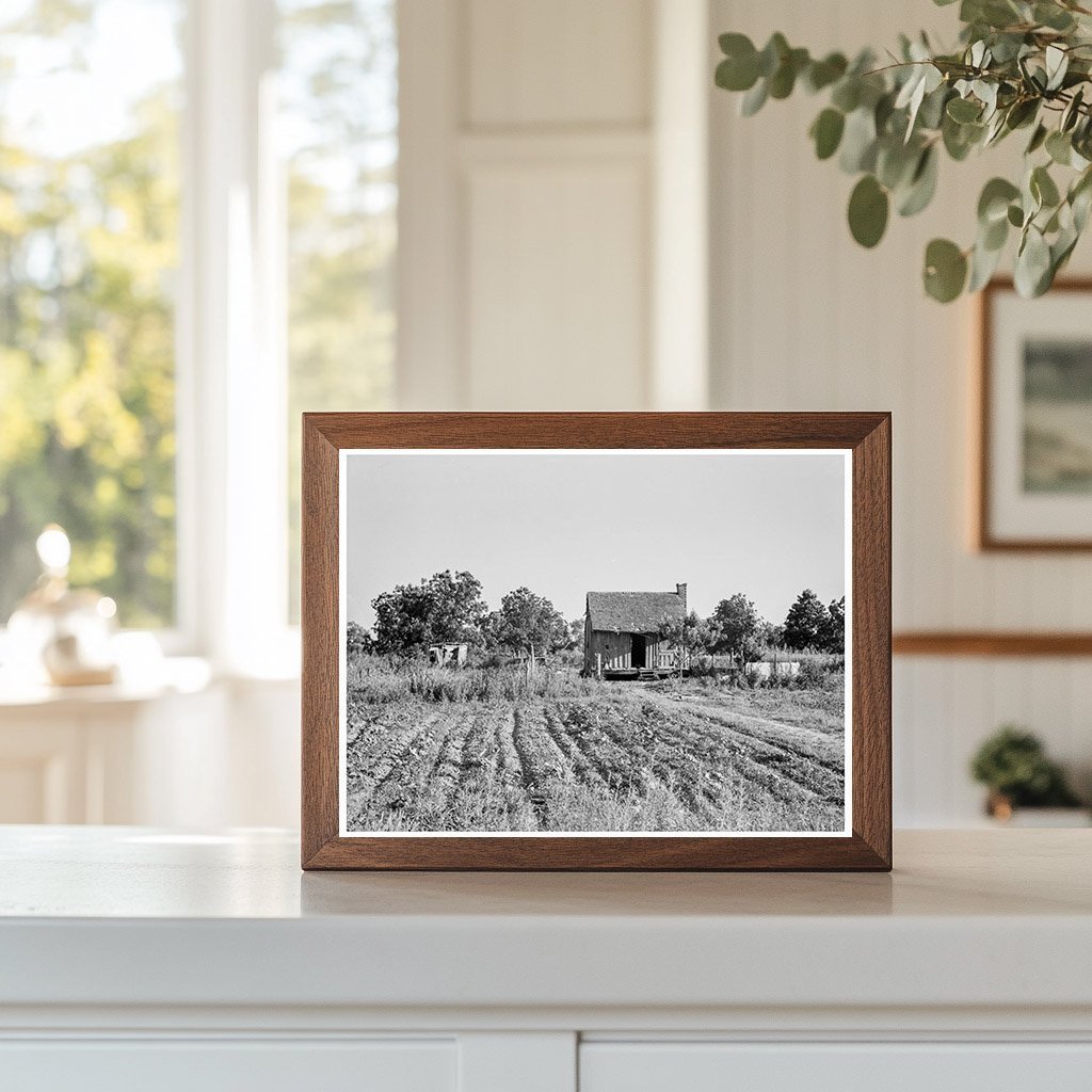 Tenant Farmer Home in Mississippi July 1937 - Available at KNOWOL