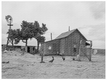 Tenant Farmer House Texas June 1937 - Available at KNOWOL