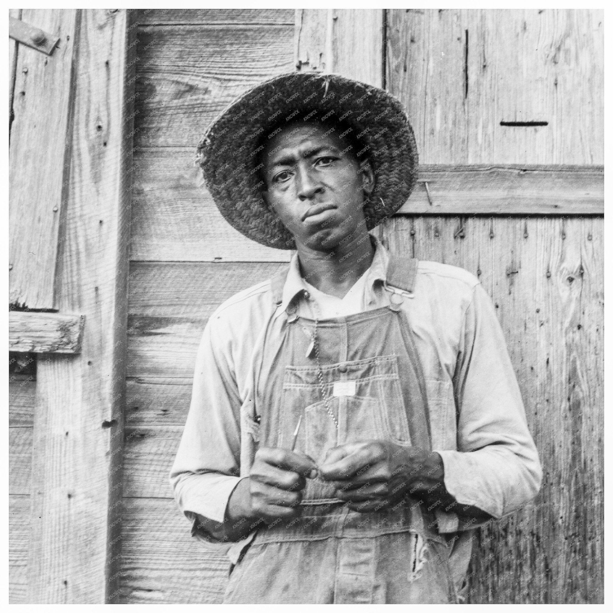 Tenant Farmer in Chatham County North Carolina 1939 - Available at KNOWOL