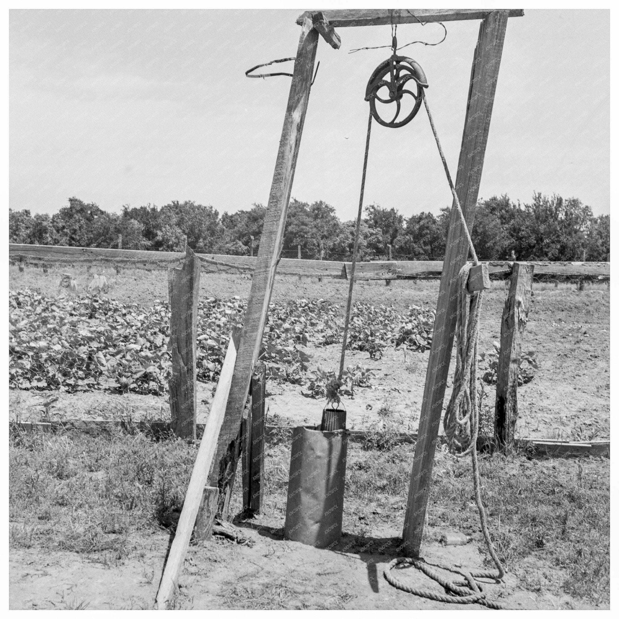 Tenant Farmers in Center County Oklahoma 1937 - Available at KNOWOL