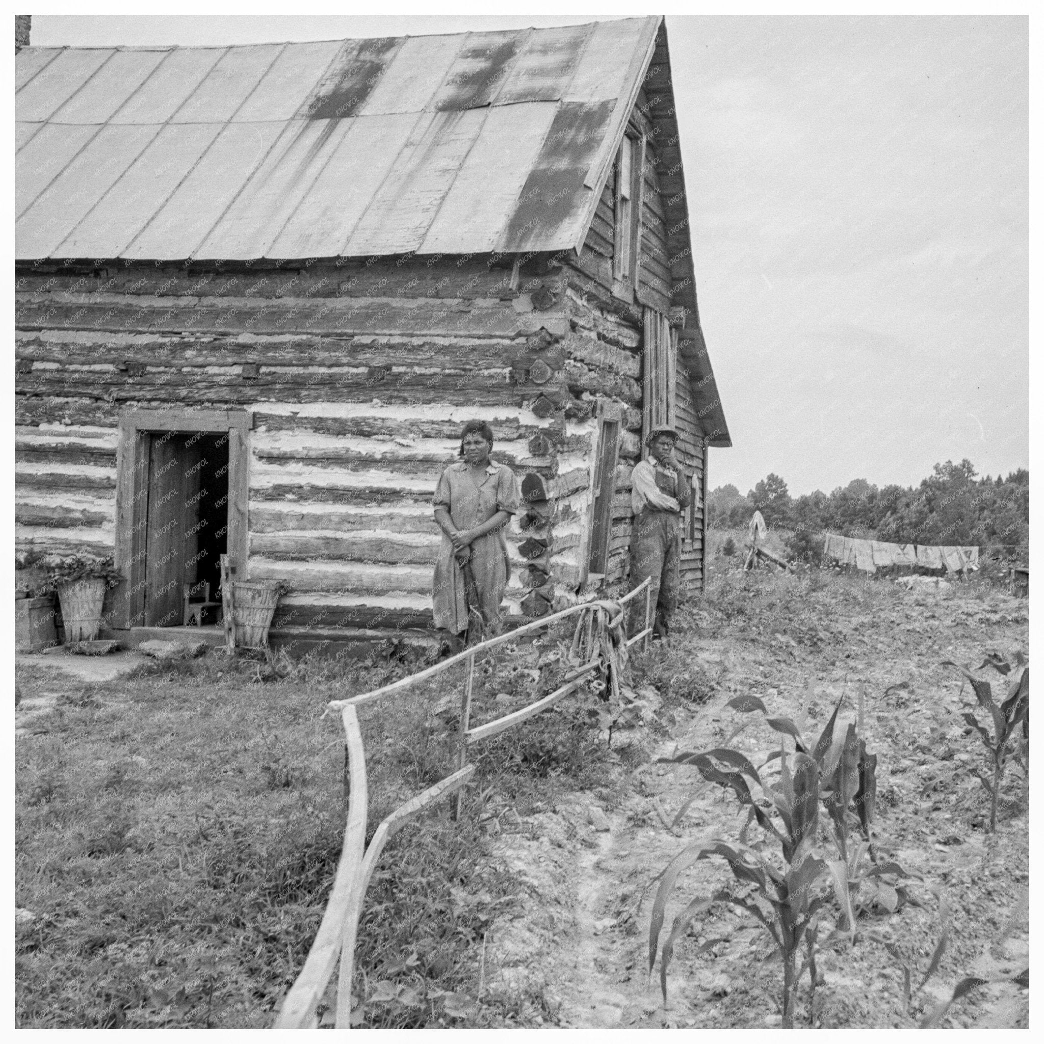 Tenant Home at Hillside Farm North Carolina 1939 - Available at KNOWOL