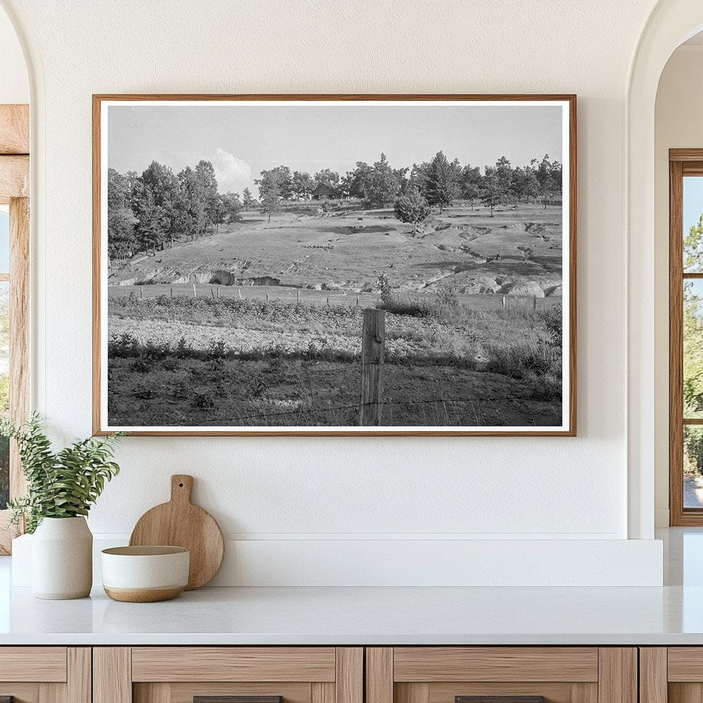 Terraced Agricultural Land in Lawrenceville Georgia 1937 - Available at KNOWOL