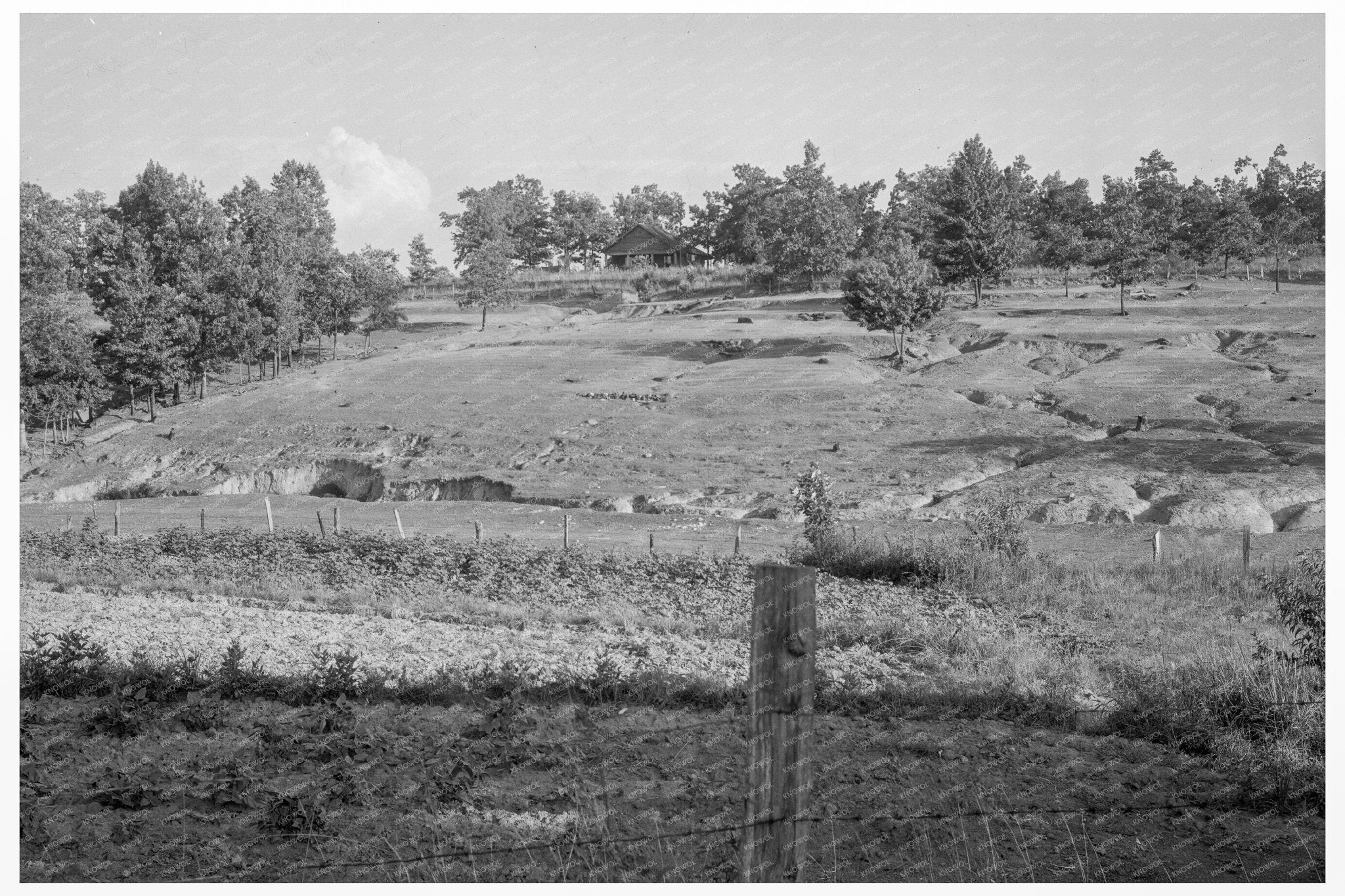 Terraced Agricultural Land in Lawrenceville Georgia 1937 - Available at KNOWOL