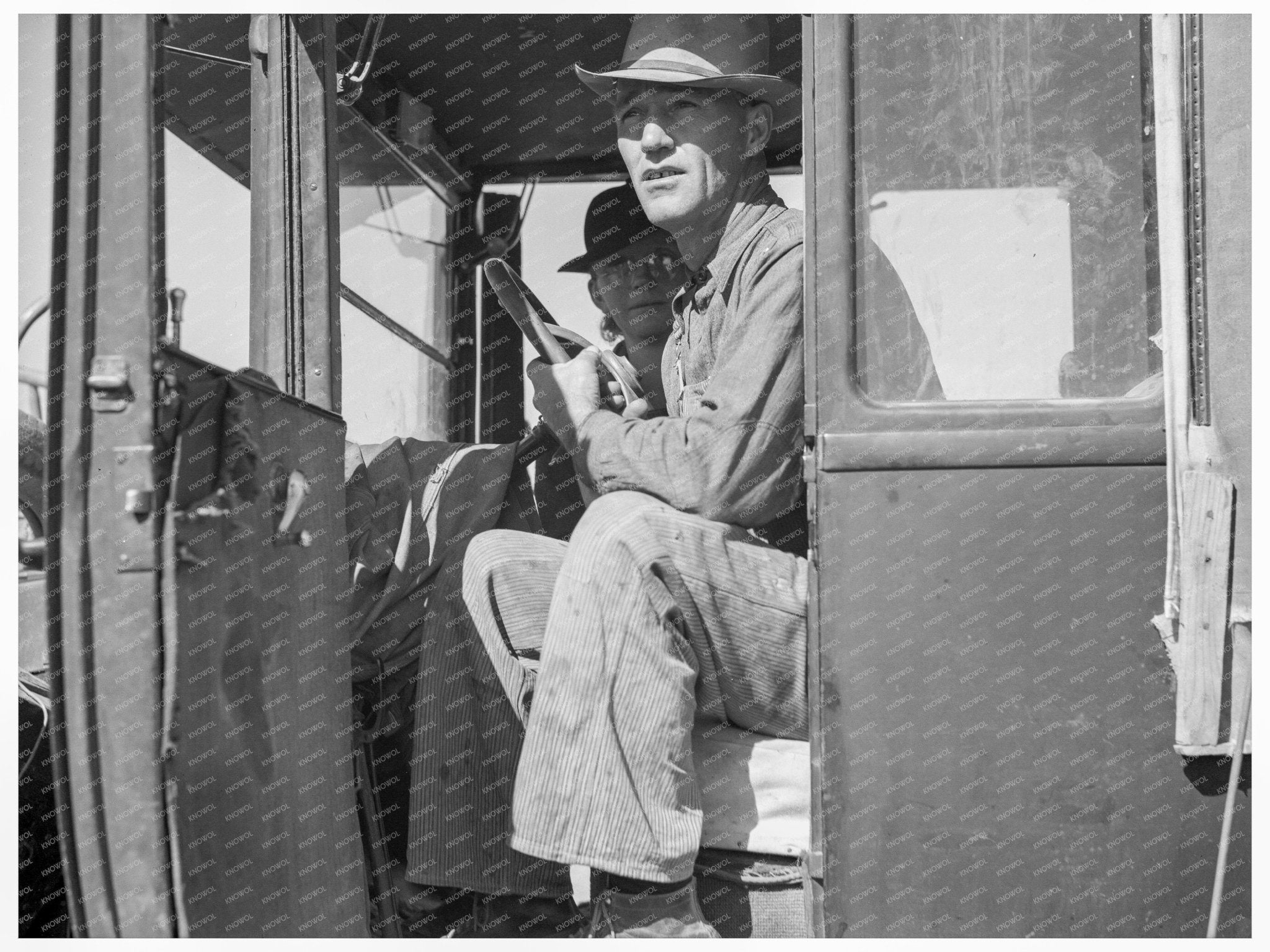 Texas Farmers Pulling Carrots in California 1937 - Available at KNOWOL