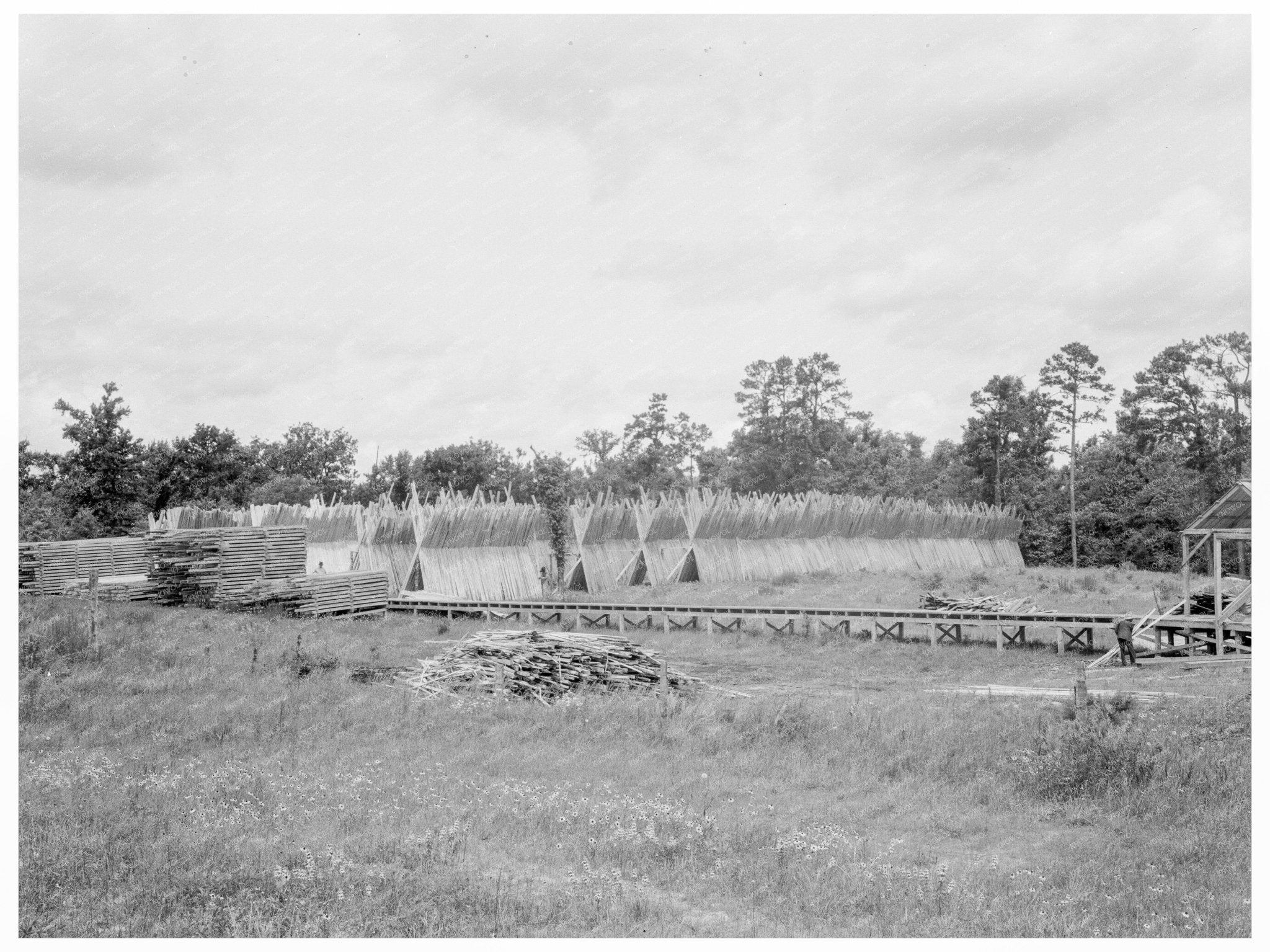 Texas Lumber Mill Dry Stacking Process June 1937 - Available at KNOWOL