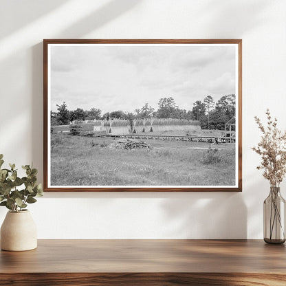 Texas Lumber Mill Dry Stacking Process June 1937 - Available at KNOWOL