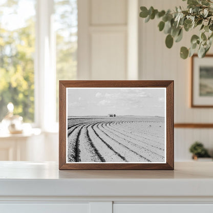 Texas Panhandle Farm Life and Tenant Displacement 1938 - Available at KNOWOL