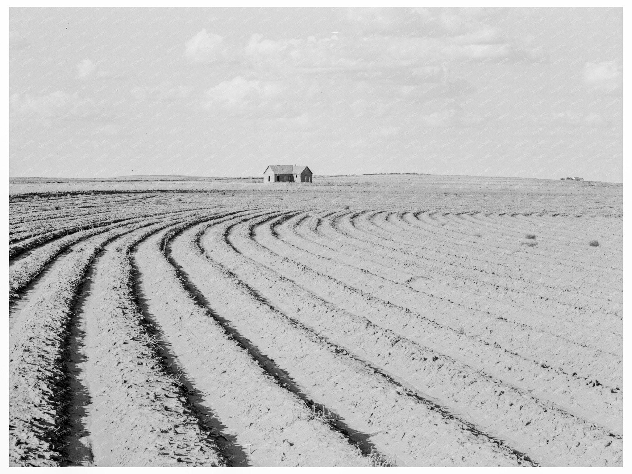 Texas Panhandle Farm Life and Tenant Displacement 1938 - Available at KNOWOL