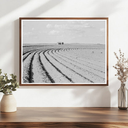 Texas Panhandle Farm Life and Tenant Displacement 1938 - Available at KNOWOL