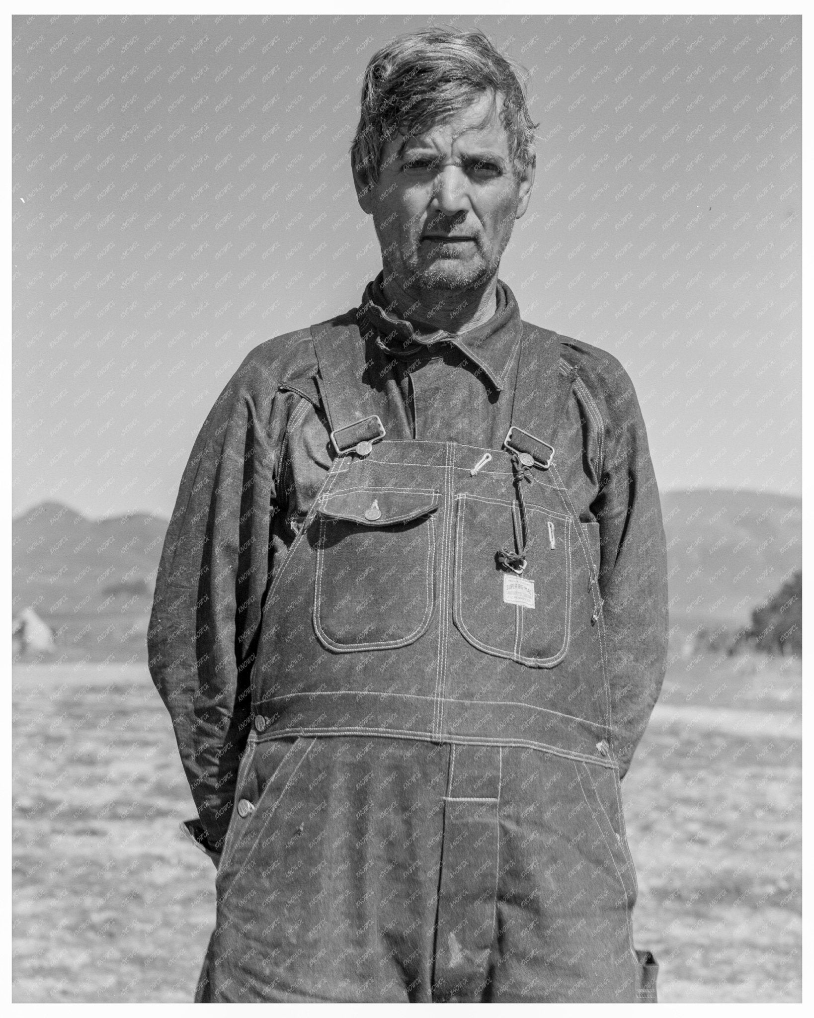 Texas Tenant Farmer as Pea Picker in Nipomo California March 1937 - Available at KNOWOL