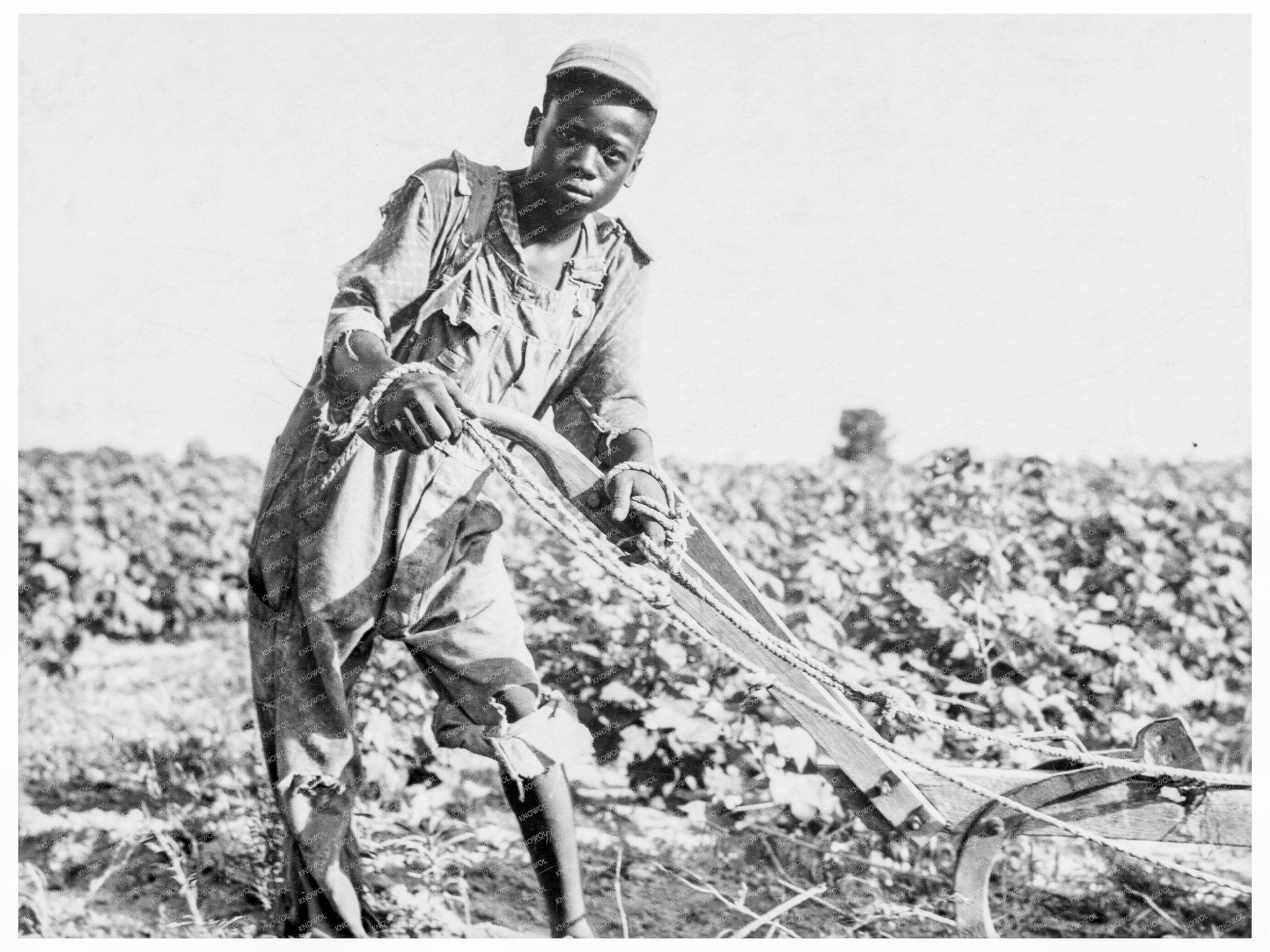 Thirteen - Year - Old Sharecropper Boy Americus Georgia 1937 - Available at KNOWOL