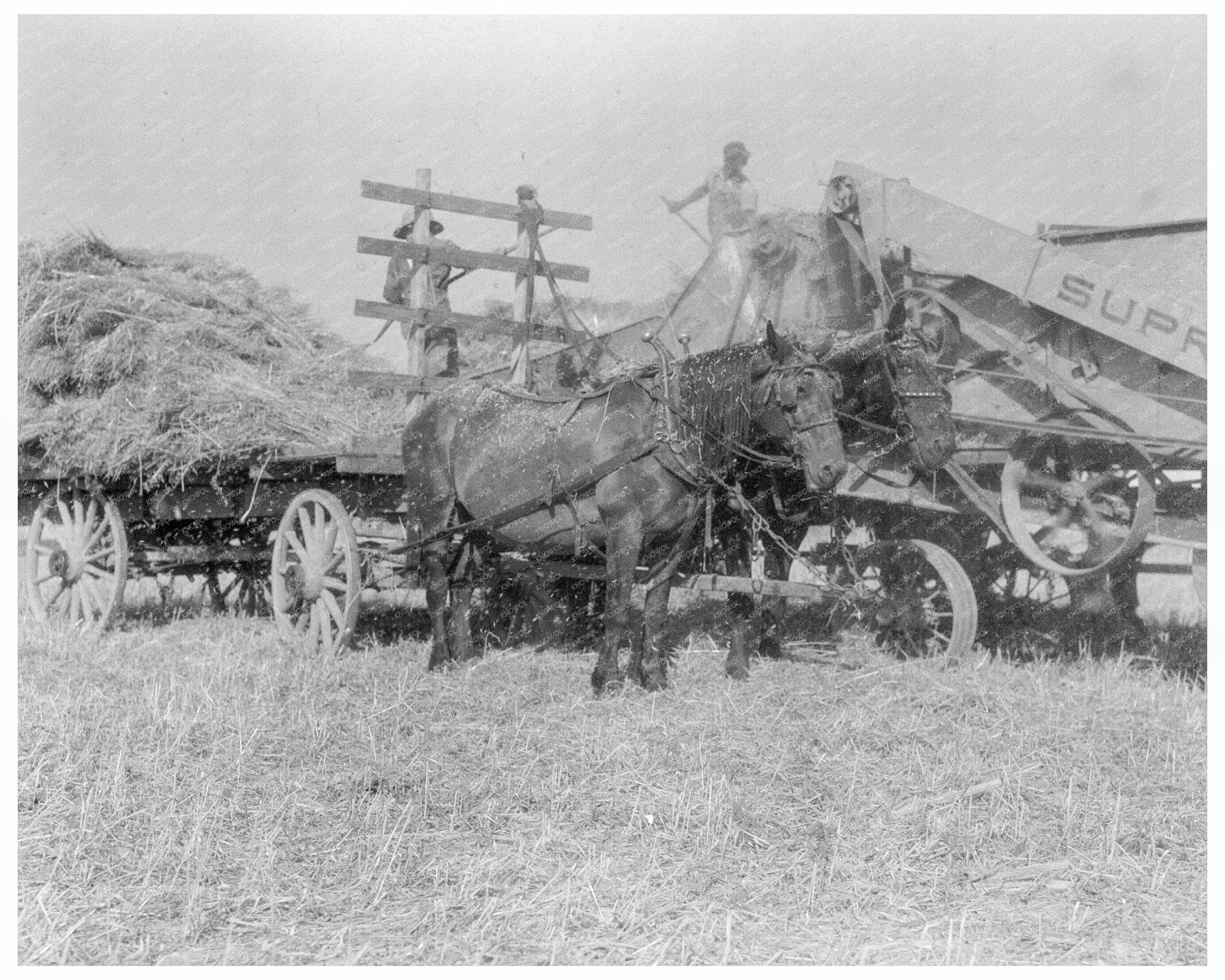 Threshing Oats in Clayton Indiana 1936 - Available at KNOWOL