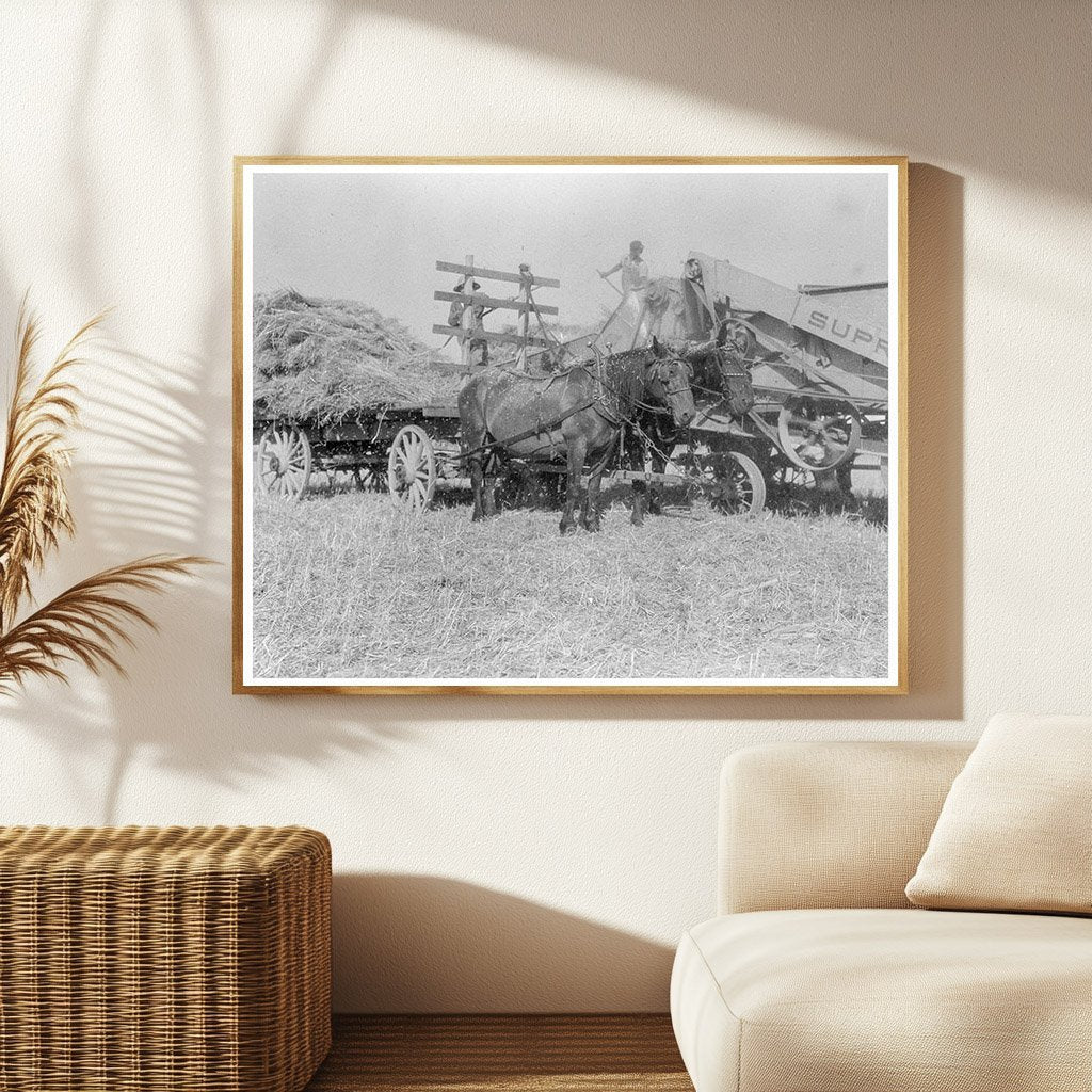 Threshing Oats in Clayton Indiana 1936 - Available at KNOWOL