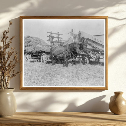 Threshing Oats in Clayton Indiana 1936 - Available at KNOWOL