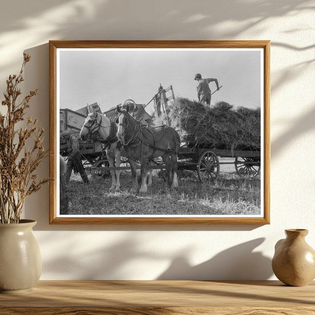 Threshing Oats in Clayton Indiana 1936 Vintage Image - Available at KNOWOL