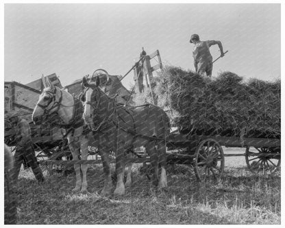 Threshing Oats in Clayton Indiana 1936 Vintage Image - Available at KNOWOL