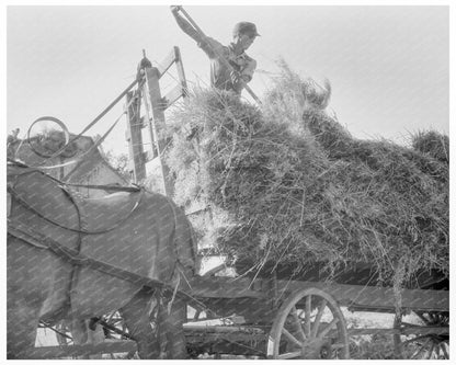 Threshing Oats in Clayton Indiana July 1936 - Available at KNOWOL