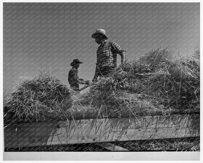 Threshing Operation in 1939 Klamath County Oregon - Available at KNOWOL