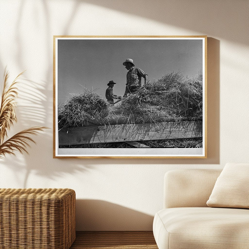 Threshing Operation in 1939 Klamath County Oregon - Available at KNOWOL