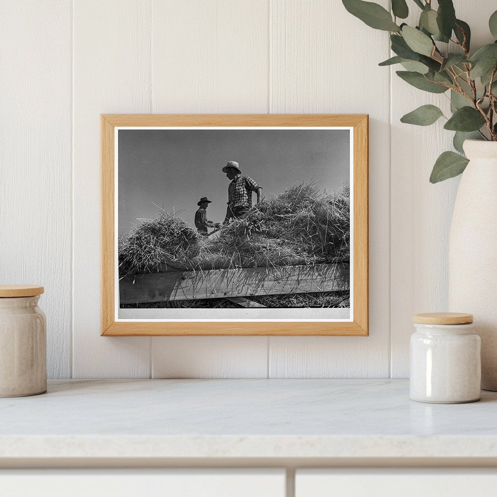 Threshing Operation in 1939 Klamath County Oregon - Available at KNOWOL