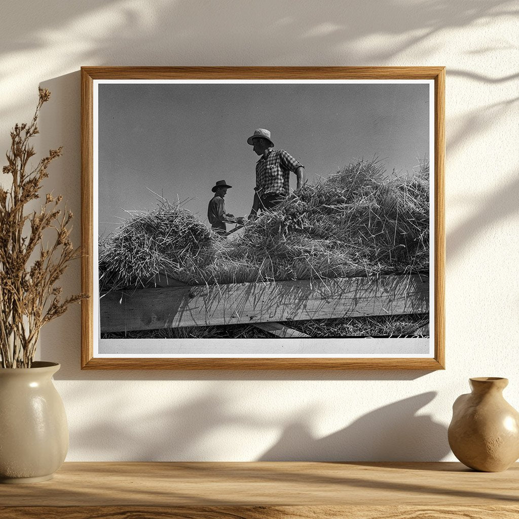 Threshing Operation in Klamath County Oregon 1939 - Available at KNOWOL