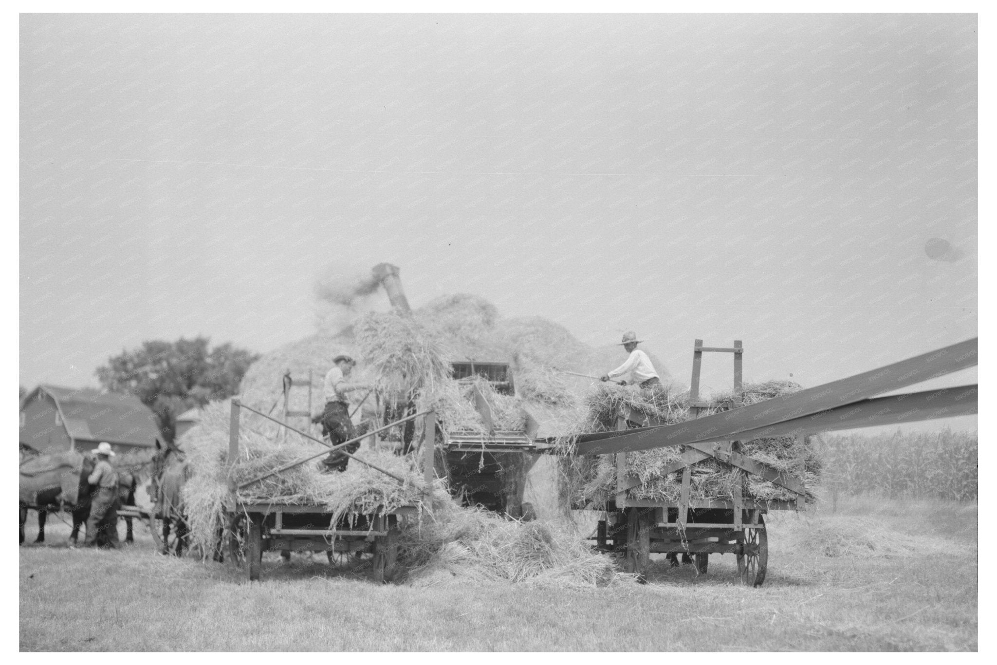 Threshing Operations in Kewanee Illinois August 1937 - Available at KNOWOL