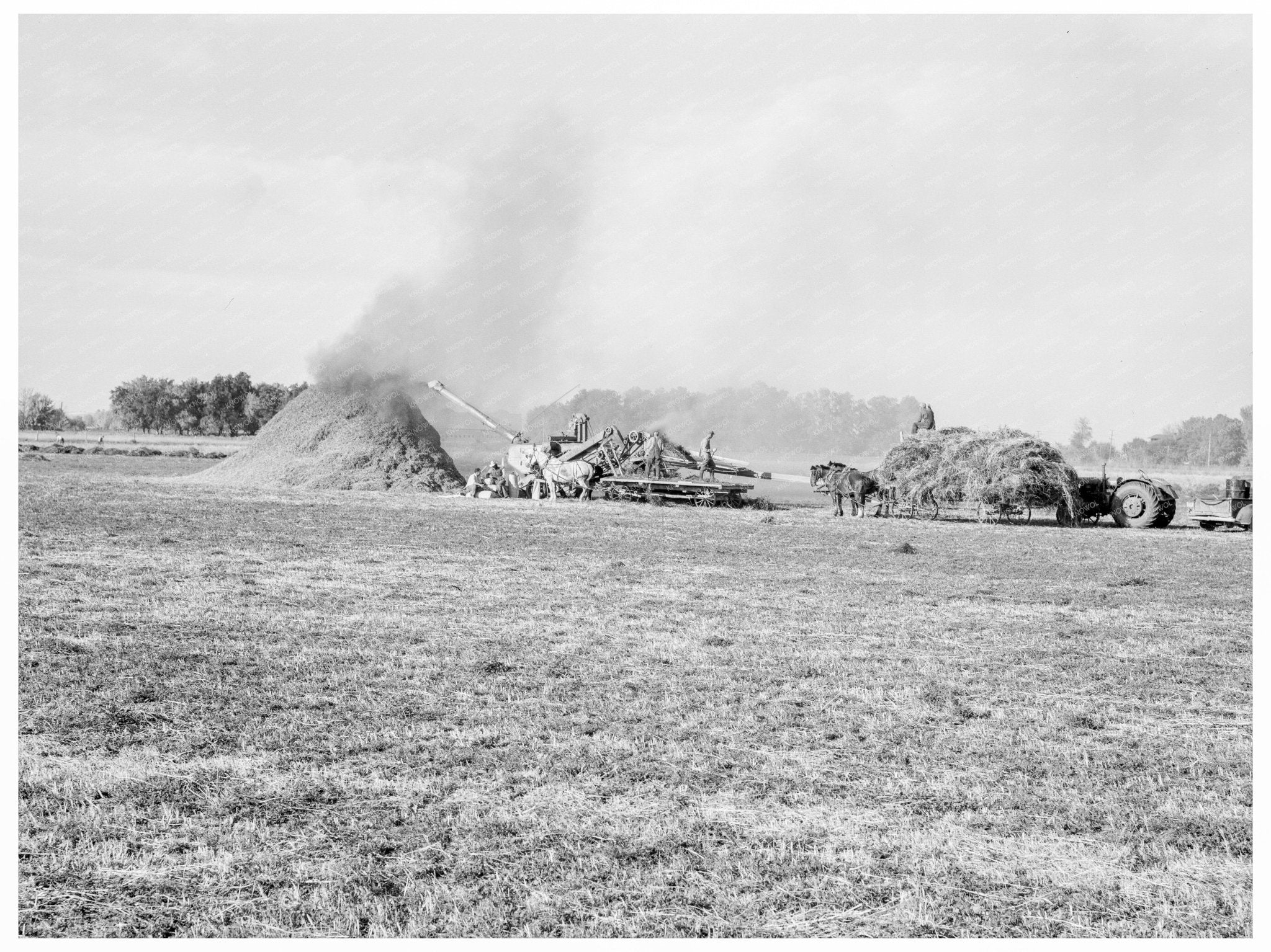 Threshing Red Clover for Seed in Oregon 1939 - Available at KNOWOL