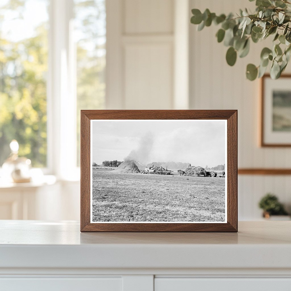 Threshing Red Clover for Seed in Oregon 1939 - Available at KNOWOL