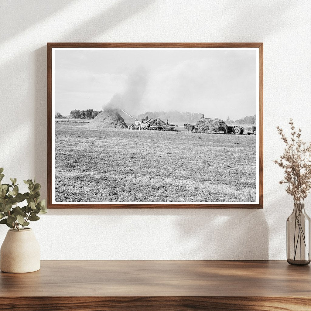 Threshing Red Clover for Seed in Oregon 1939 - Available at KNOWOL