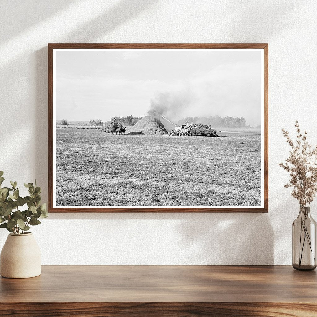 Threshing Red Clover for Seed Malheur County Oregon 1939 - Available at KNOWOL