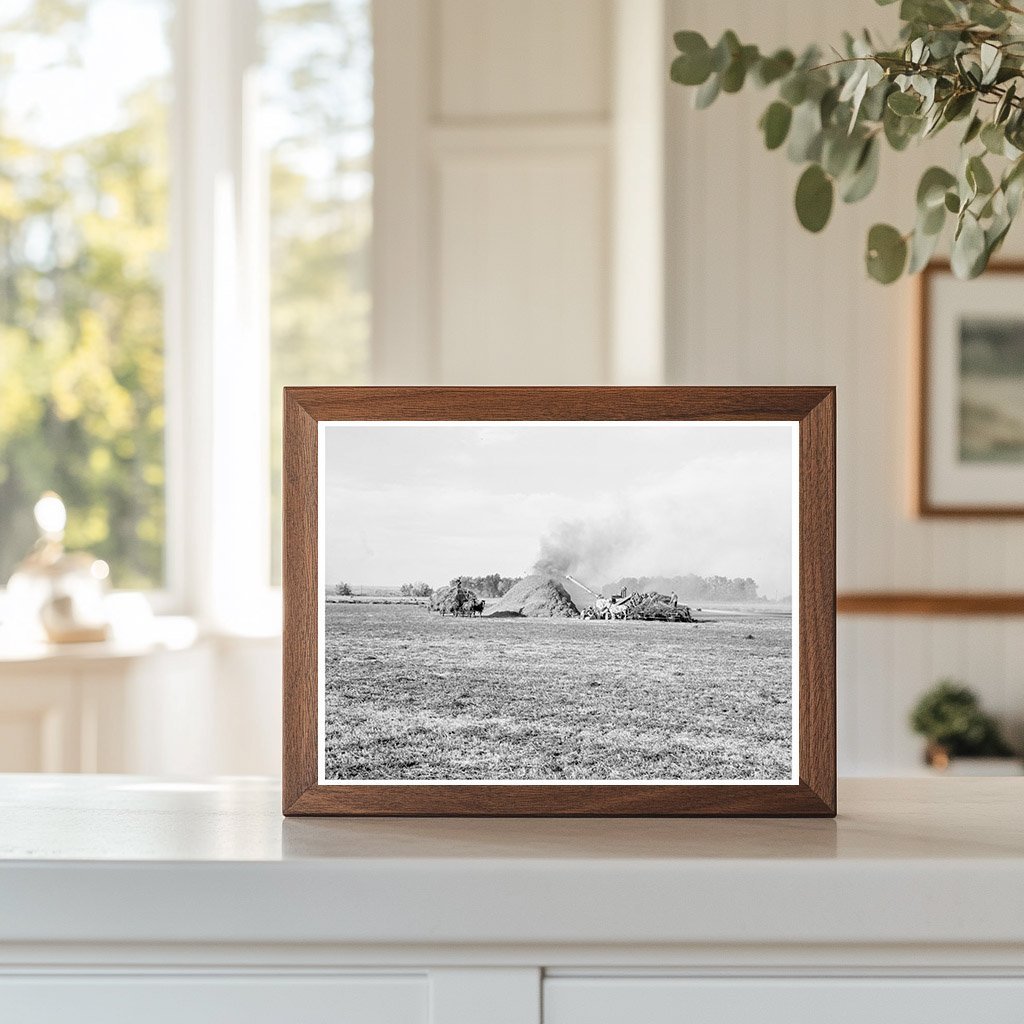 Threshing Red Clover for Seed Malheur County Oregon 1939 - Available at KNOWOL