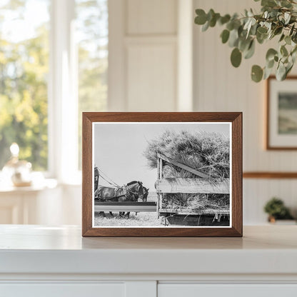 Threshing Scene in Klamath County Oregon 1939 - Available at KNOWOL