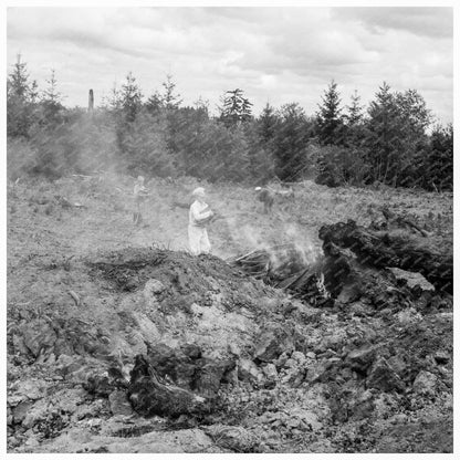 Thurston County Family Clearing Field Debris 1939 - Available at KNOWOL