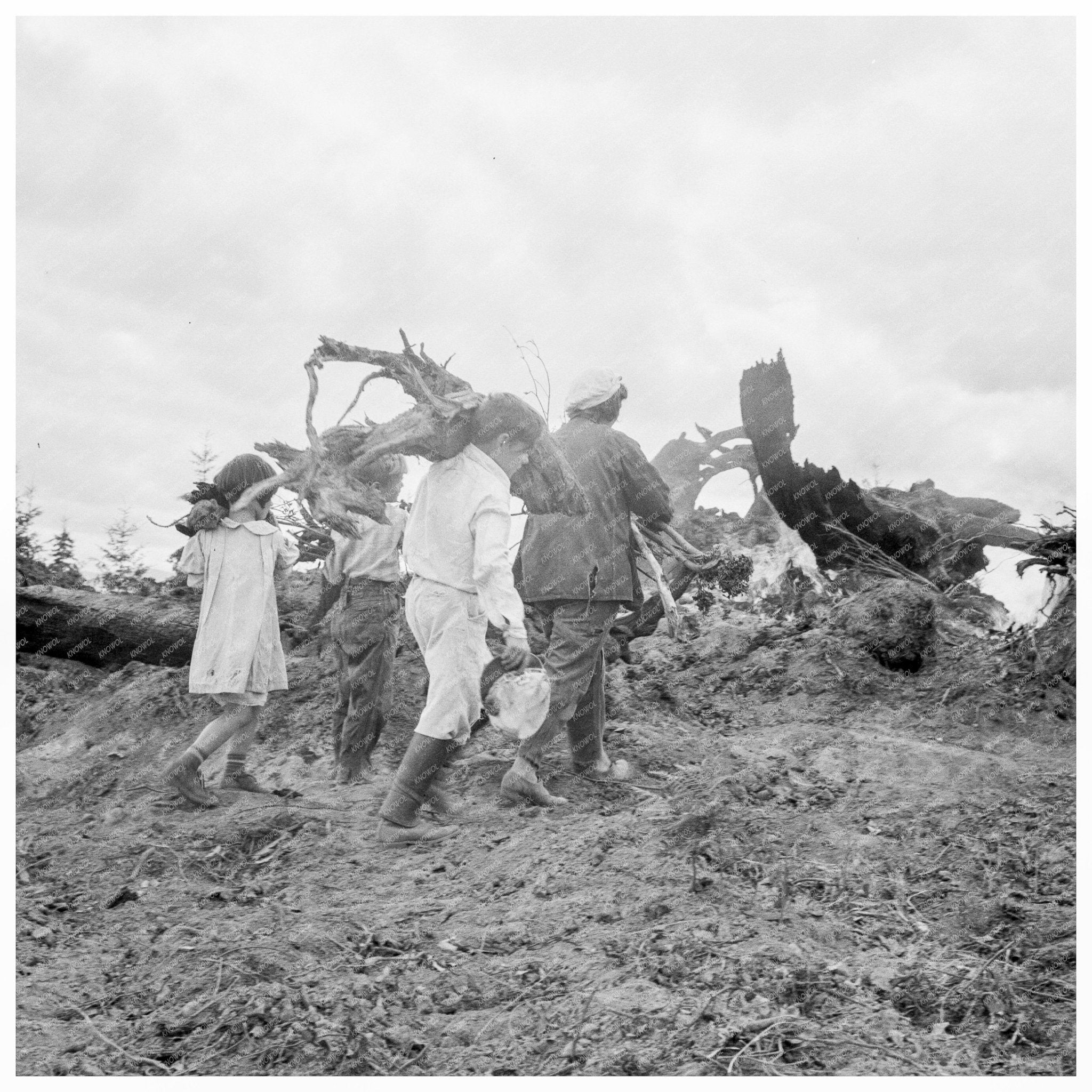 Thurston County Family Clearing Land Debris August 1939 - Available at KNOWOL