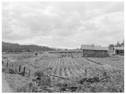 Thurston County Stump Farm August 1939 - Available at KNOWOL