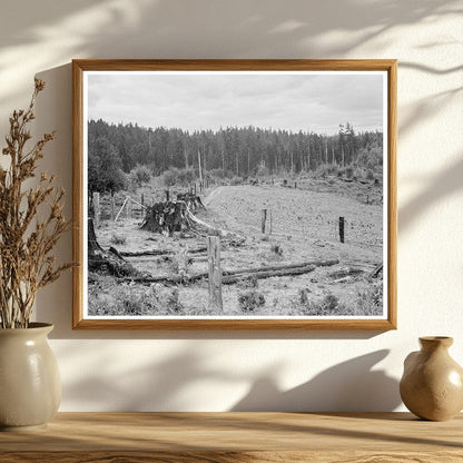 Thurston County Stump Farm August 1939 Agricultural Image - Available at KNOWOL