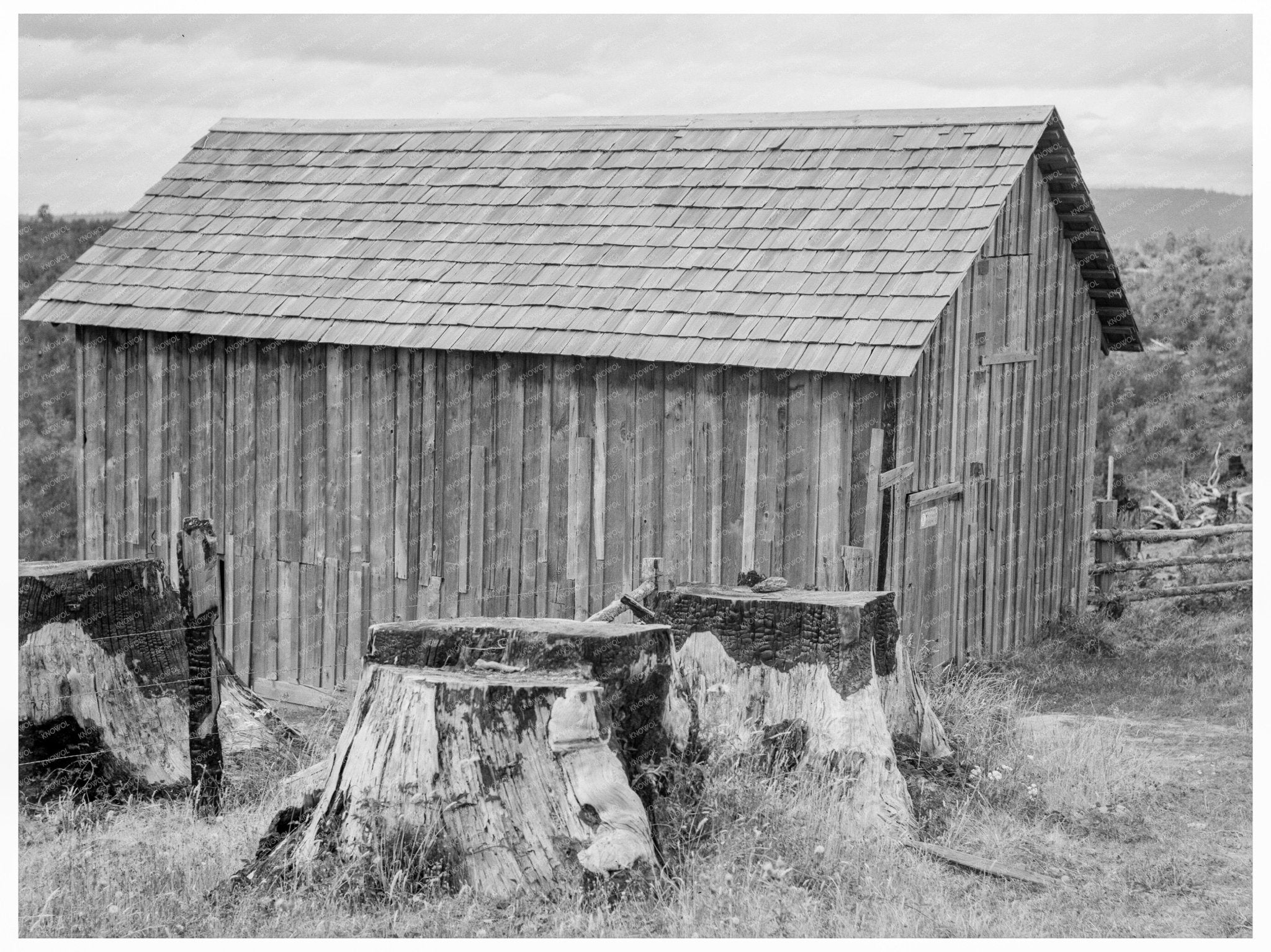 Thurston County Stump Farm August 1939 Image - Available at KNOWOL