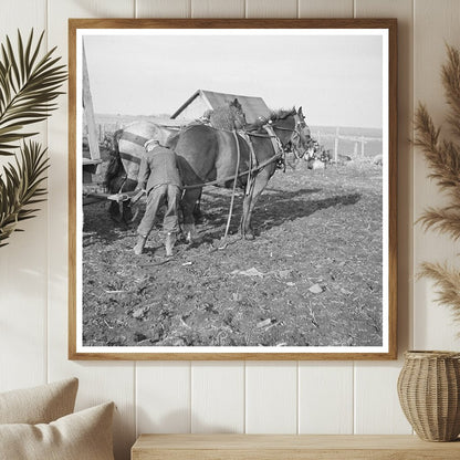 Tip Estes Hitching Horses to Wagon near Fowler Indiana 1937 - Available at KNOWOL