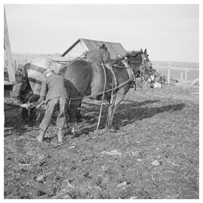 Tip Estes Hitching Horses to Wagon near Fowler Indiana 1937 - Available at KNOWOL