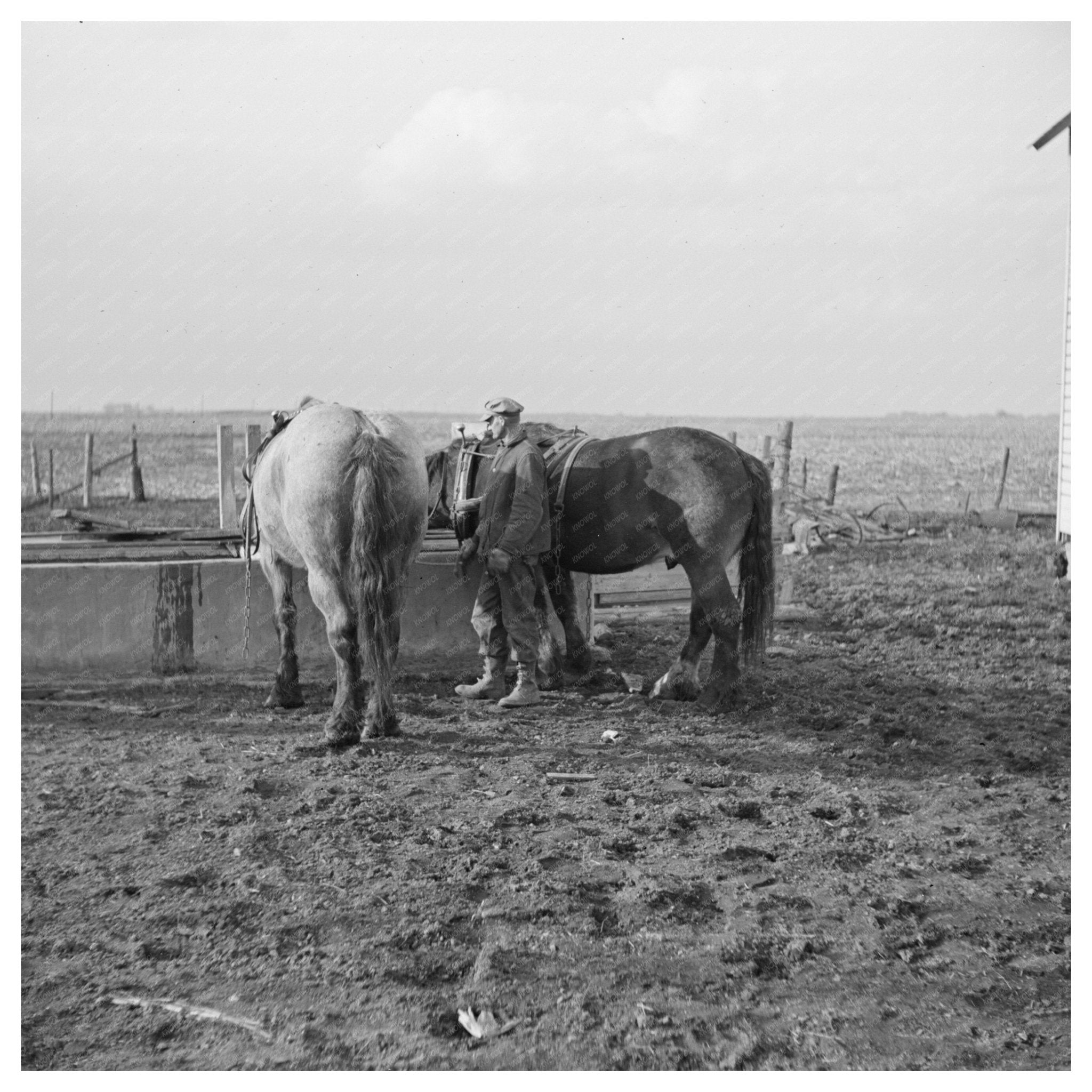 Tip Estes Watering Horses in Fowler Indiana 1937 - Available at KNOWOL