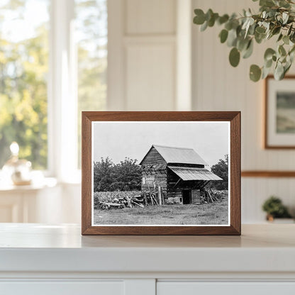 Tobacco Barn and Fields in Person County North Carolina 1939 - Available at KNOWOL