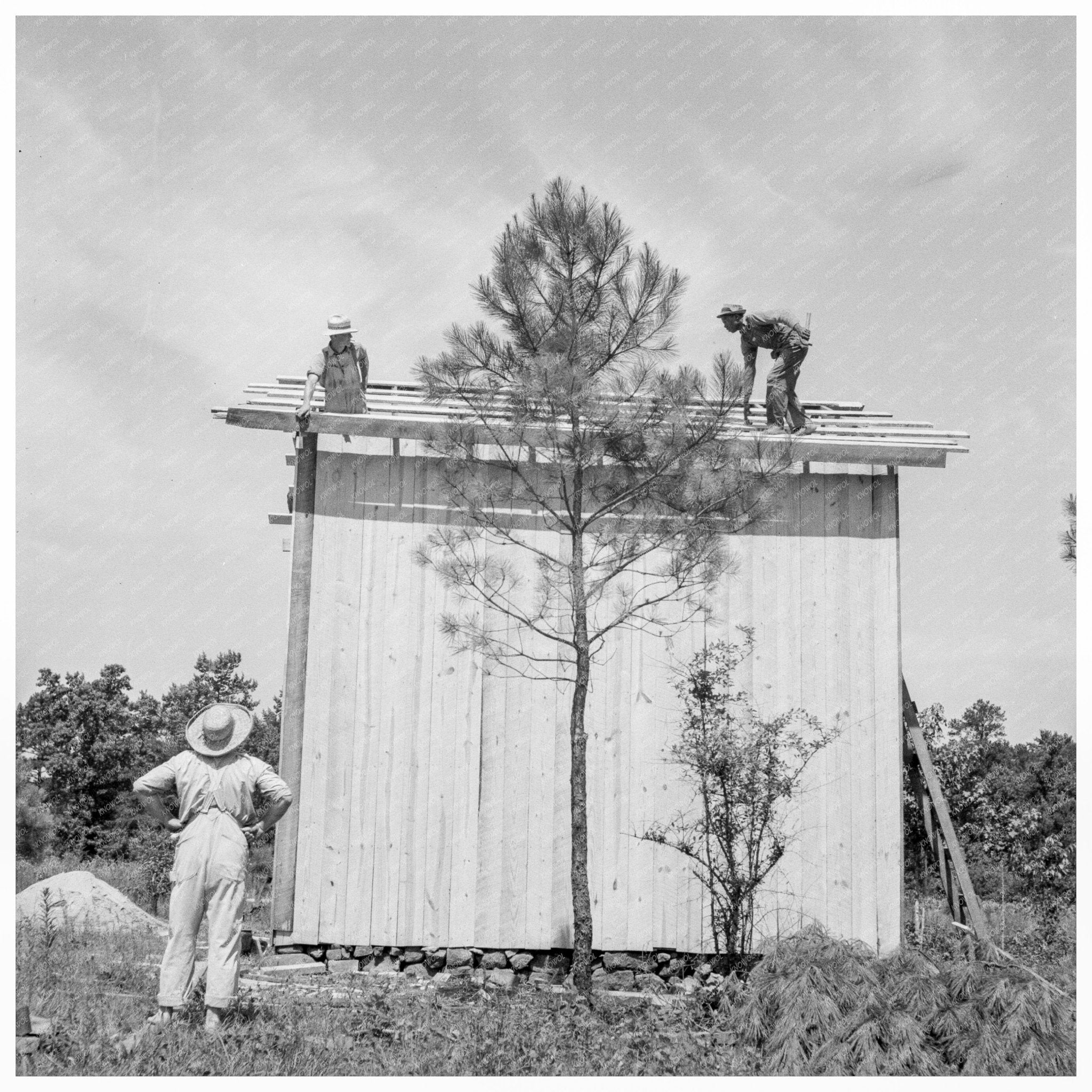 Tobacco Barn Construction Chapel Hill North Carolina 1939 - Available at KNOWOL