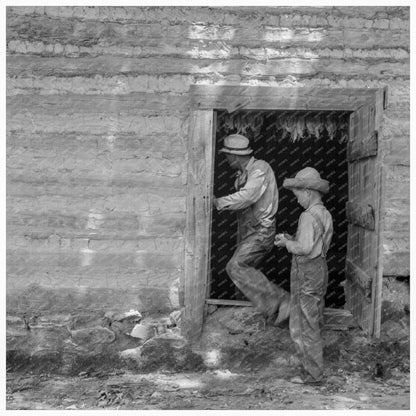 Tobacco Barn Curing Process Granville County 1939 - Available at KNOWOL