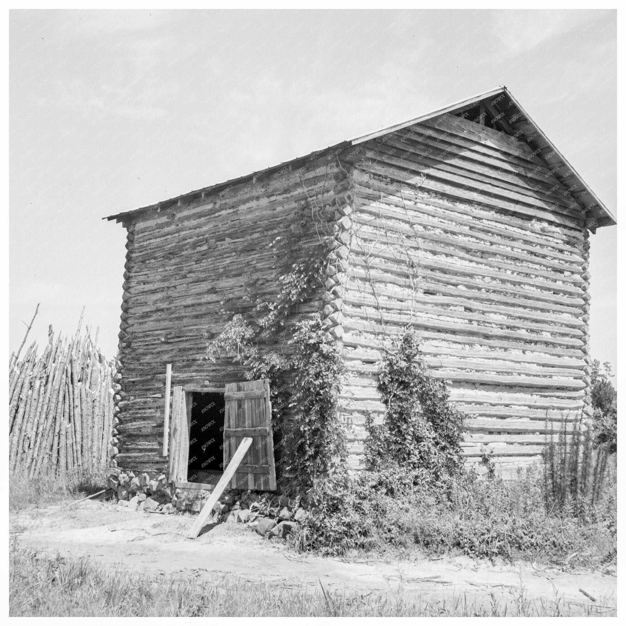 Tobacco Barn in Chatham County North Carolina 1939 - Available at KNOWOL