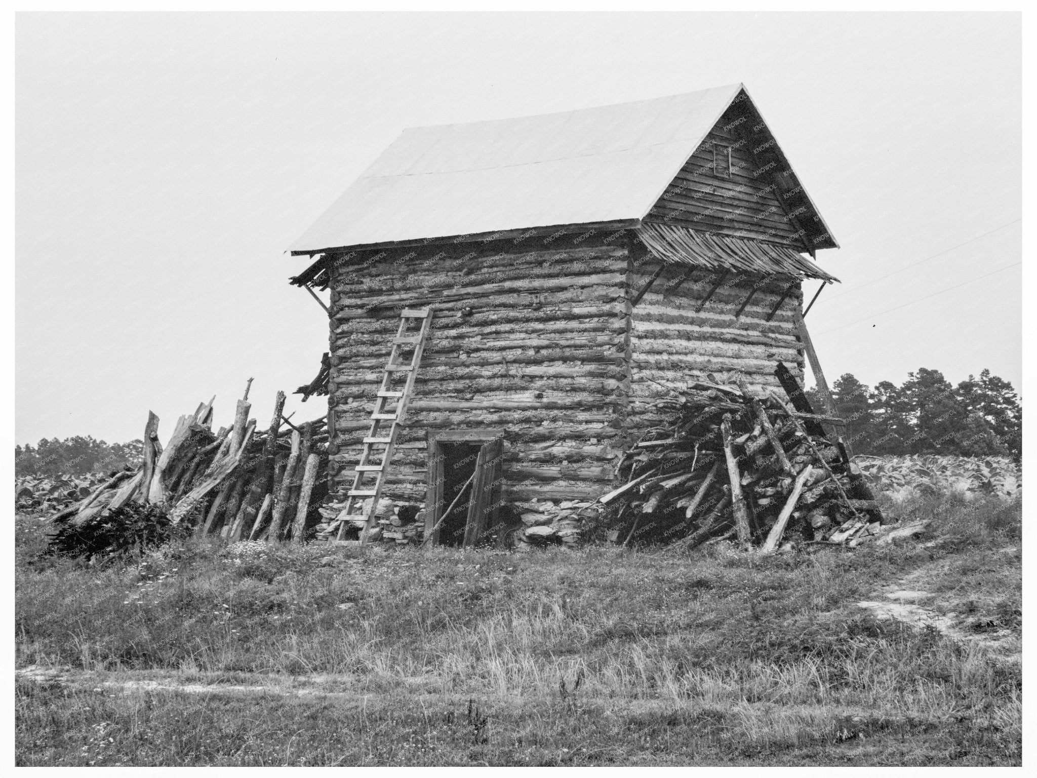 Tobacco Barn in Person County North Carolina 1939 - Available at KNOWOL