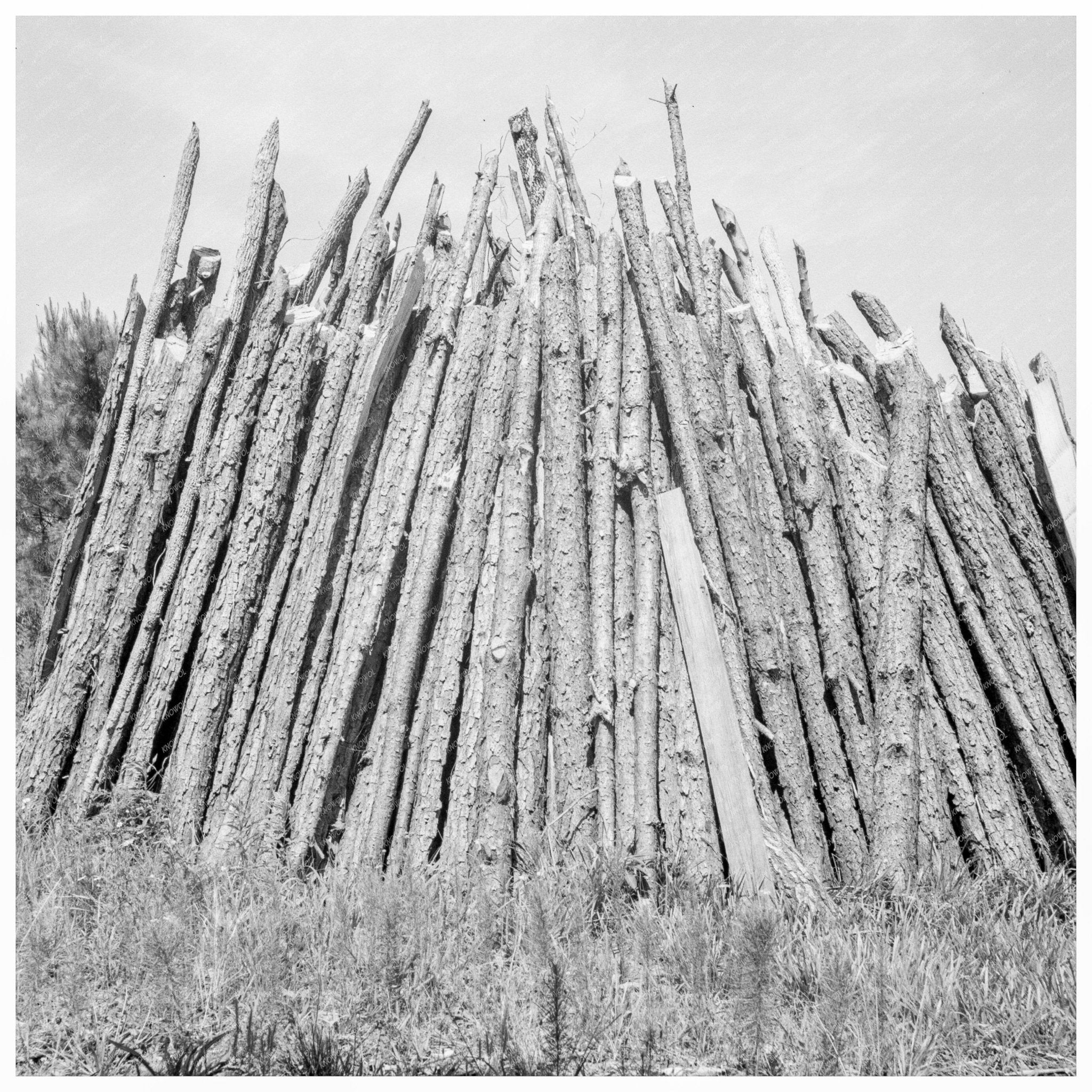 Tobacco Barns in Chatham County North Carolina 1939 - Available at KNOWOL